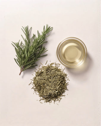 Rosemary Leaf Extract