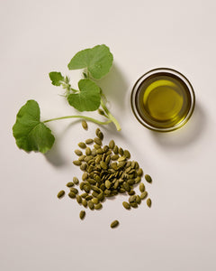 Pumpkin Seed Oil